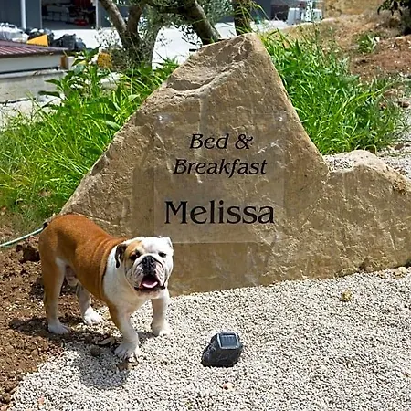 Melissa 4*